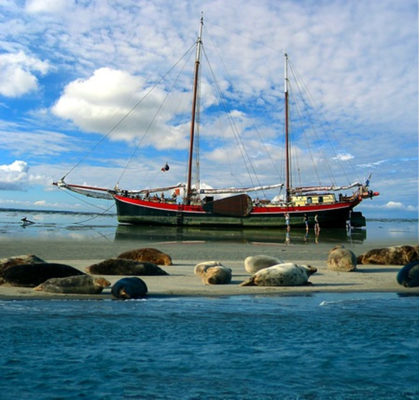 Varen op de waddenzee